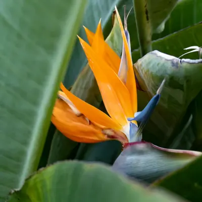 051