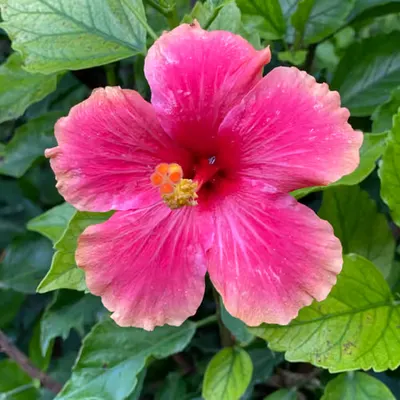 061