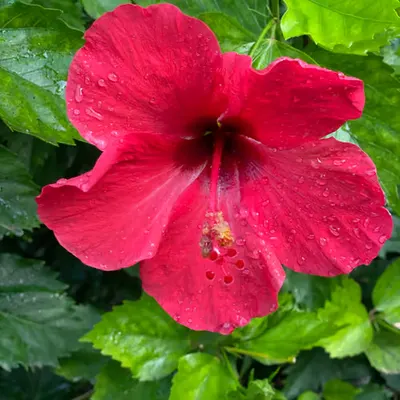 063