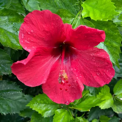 065