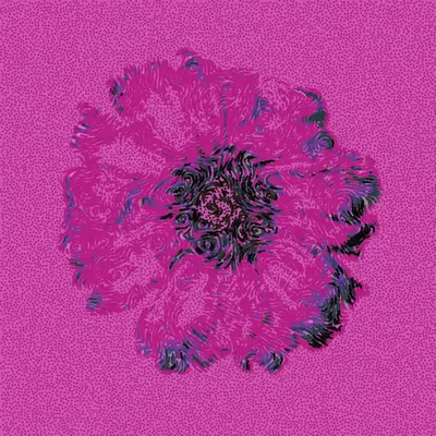 Gerbera Daisy Pink