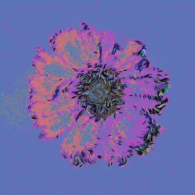 Gerbera Daisy Blue