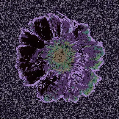 Gerbera Daisy Black 3
