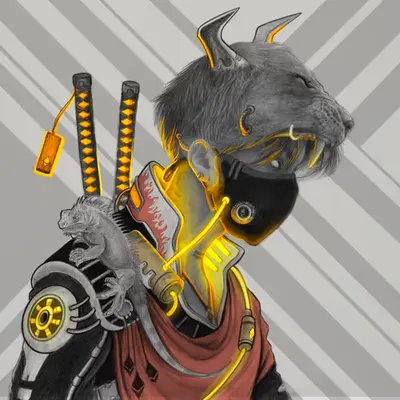 Dirga Guide-022