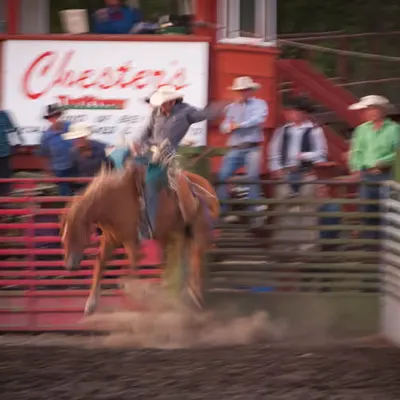 IRL Rodeo! (2 of 5)