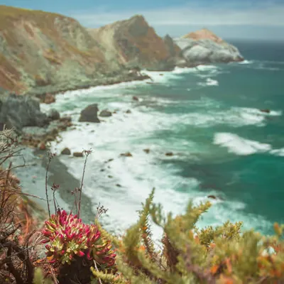 Strange Attractor