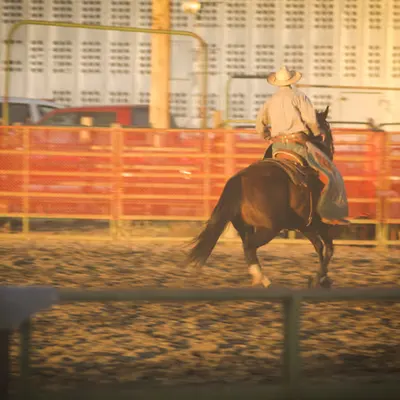 IRL Rodeo!  (1 of 5)