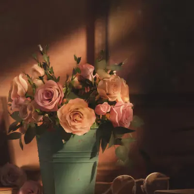 Flowers I bought myself