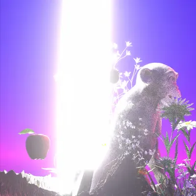 EVERYDAY ARTIFACTS [03.11.23] _ #37