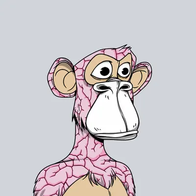 Brain Ape II - Wide