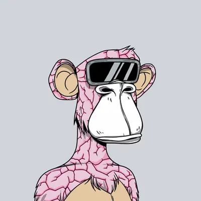 Brain Ape II - Robot