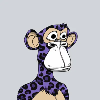 Purple Leopard Ape II - Wide