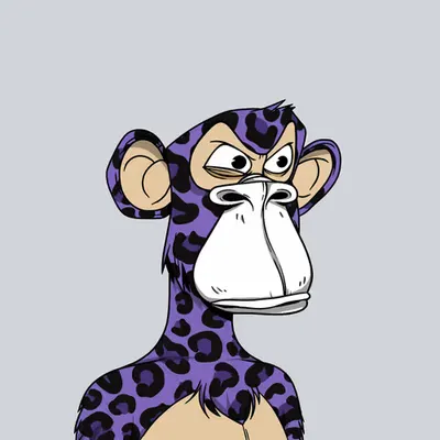 Purple Leopard Ape II - Angry