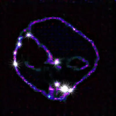 Representation of the Entity (v.3)