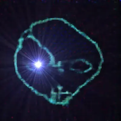 Representation of the Entity (v.4)