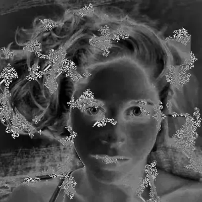 Broken Beauty
