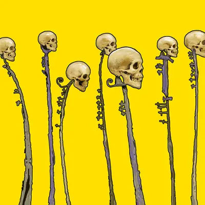 Yellow Sun Skull Parade