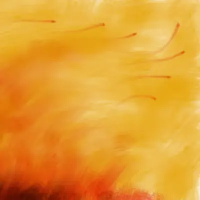 The Fire