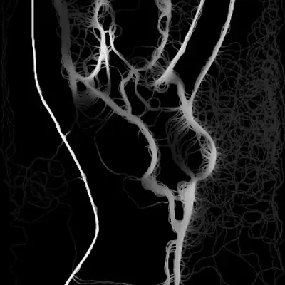 Female Figure
