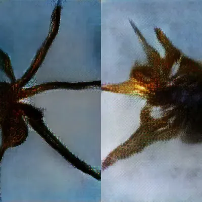 Shelob