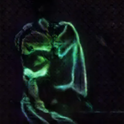 The Kiss