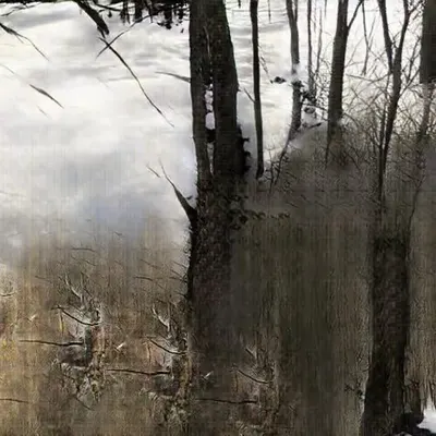 Learning Nature (b59b,8282,15)