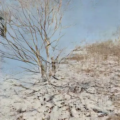 Learning Nature (b60a,3605,15)