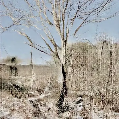 Learning Nature (b60a,3641,3)
