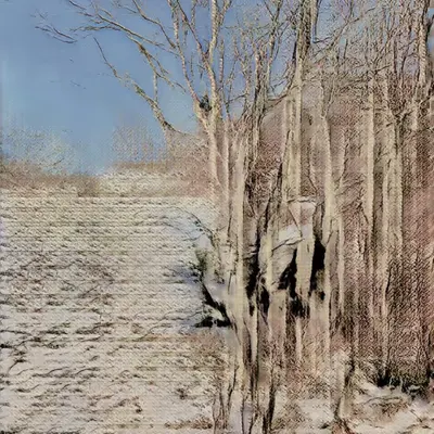 Learning Nature (b60b,3203)