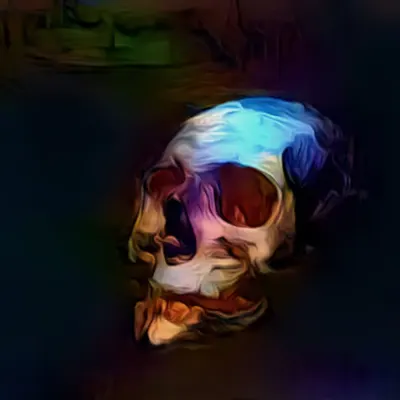 Head