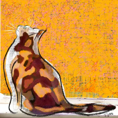 „Cats see things we do not see” 2017 (V. 1/2)