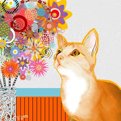 "Mostarda Cat", 2017.