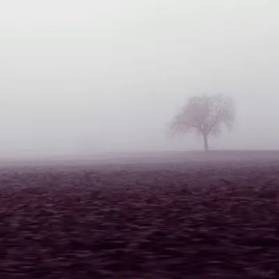 "Lonely", 2014.
