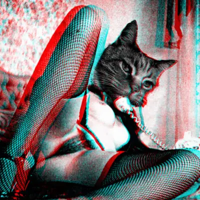 Cat Call - Human Nature Series