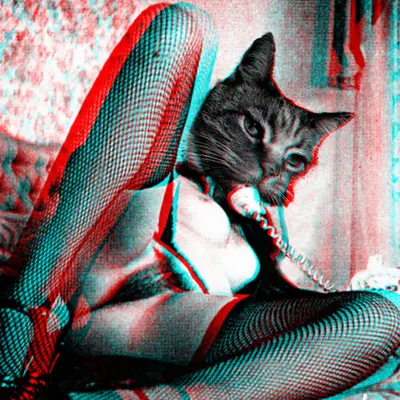 Cat Call - Human Nature Series