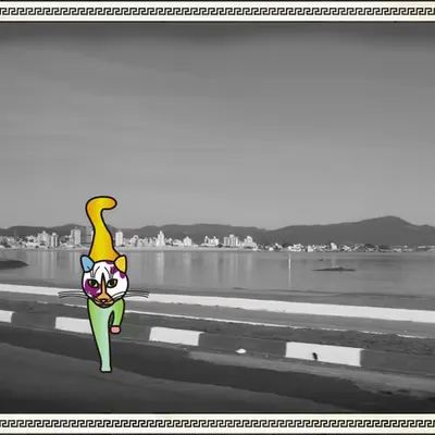 The Floripa Cat
