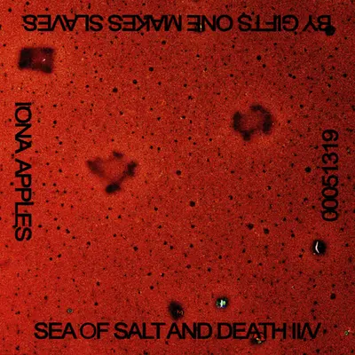 00051319 / SEA OF SALT AND DEATH II/V