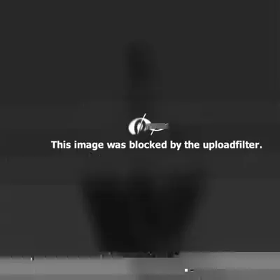 The ███████ Image