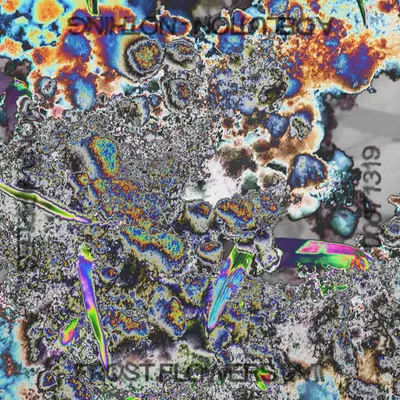 Token No. 00071319: FROST FLOWERS II/VII