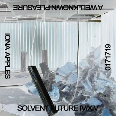 SOLVENT FUTURE // No.17