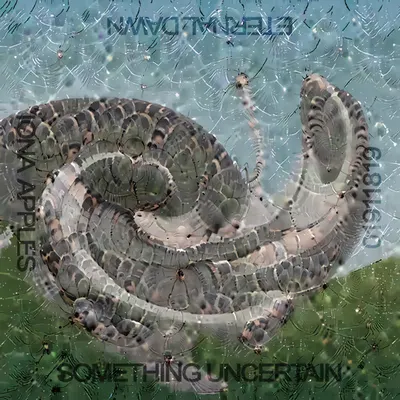 SOMETHING UNCERTAIN // No. 19