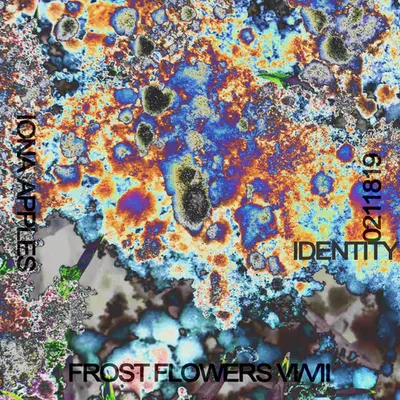 FROST FLOWERS // No. 21