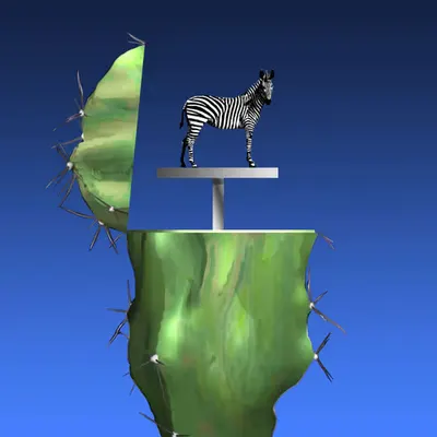 Zebrapad