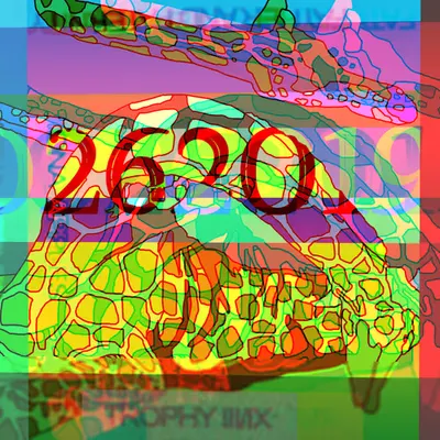 TROPHY // No. 26