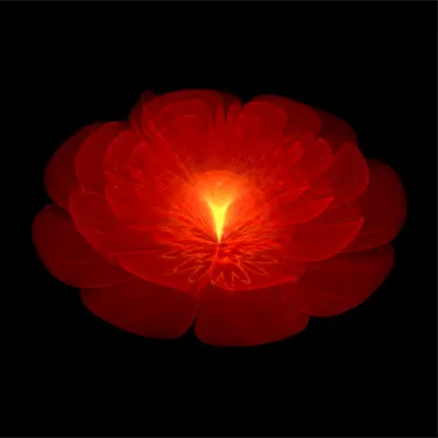 Fractal Flower