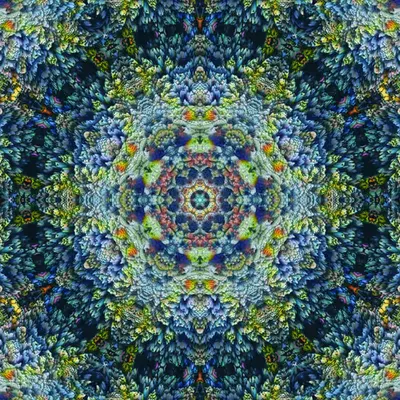 Organic Equation