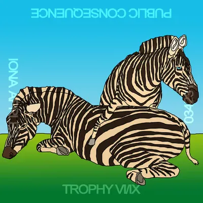 TROPHY VI/IX / No. 34