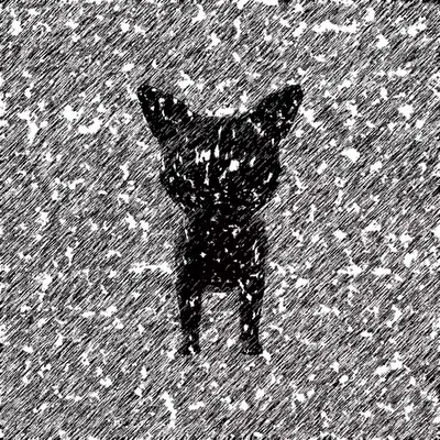 Lost Cat In A Rainy Day
