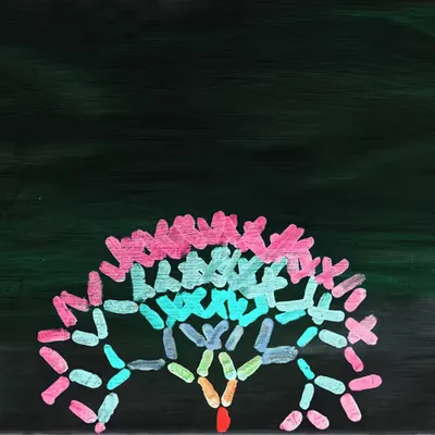 Merkle Tree / No 36