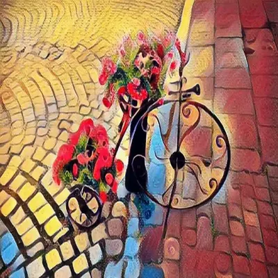 Wild Imagination